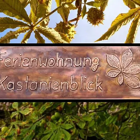 Apartment Kastanienblick Sankt Andreasberg